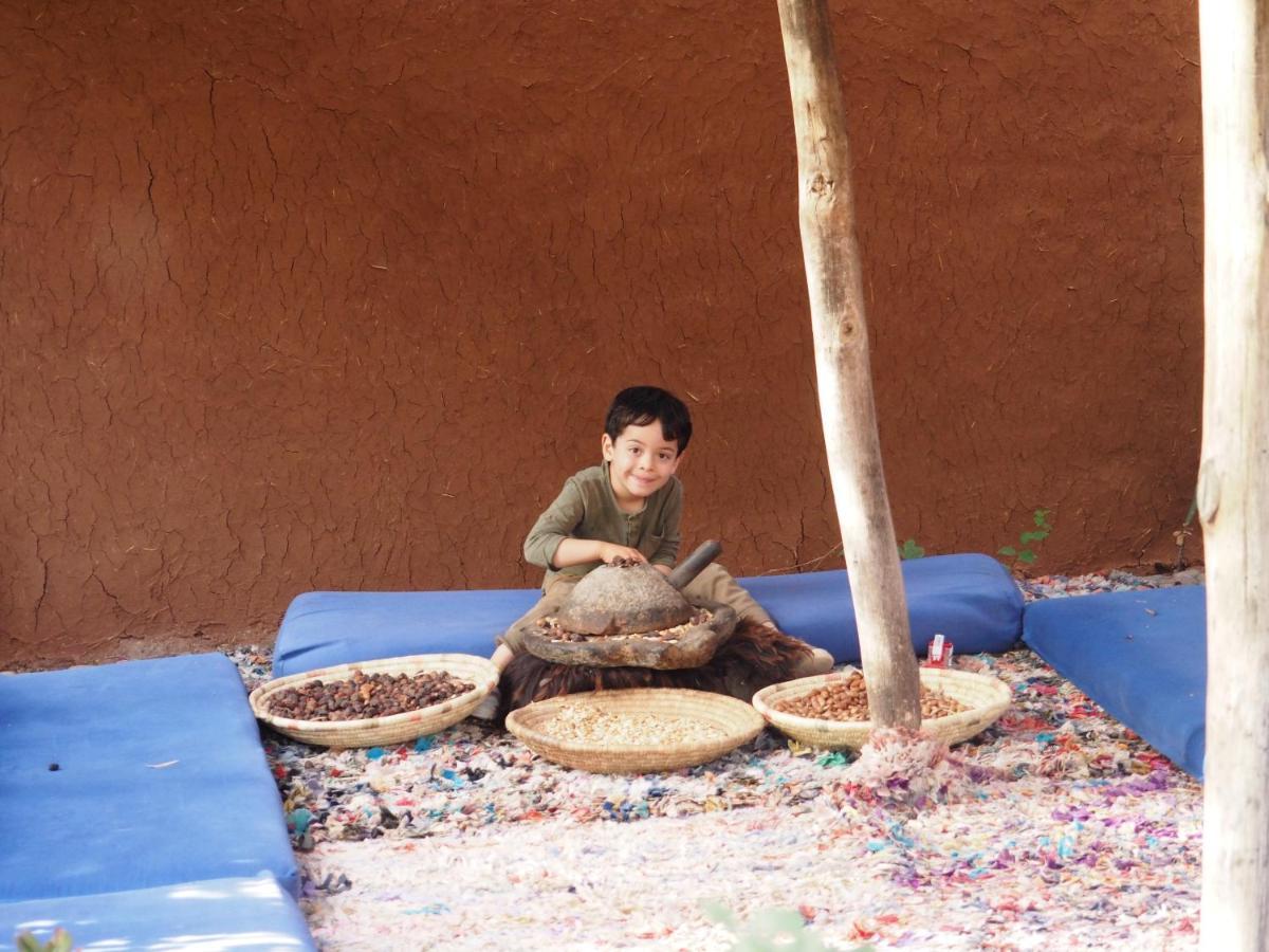Dar Farhana Tajda