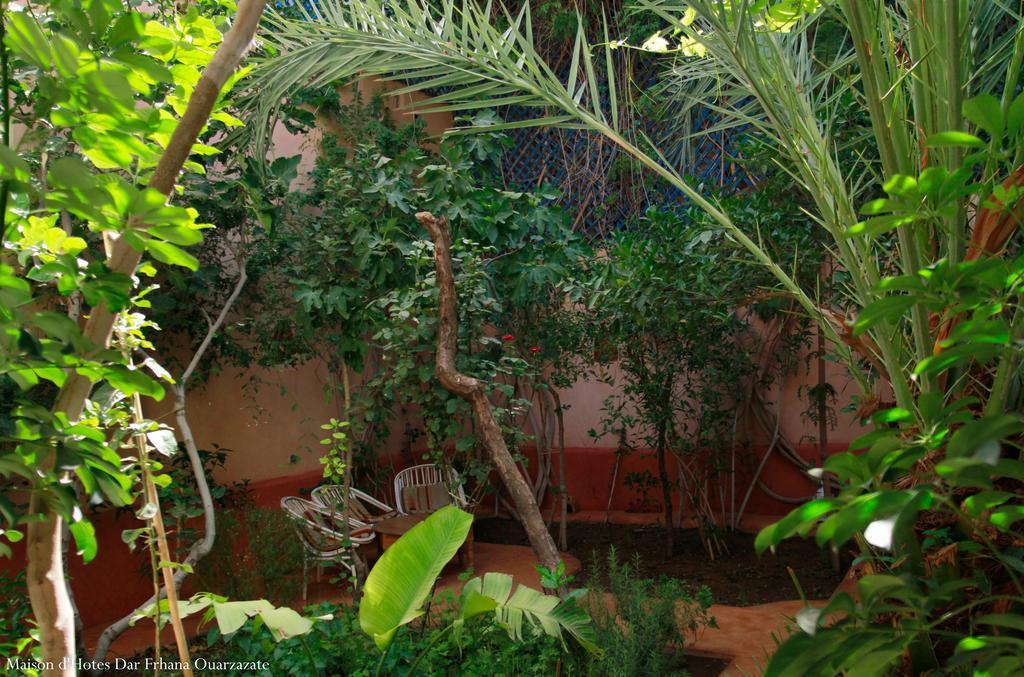 Dar Farhana Bed & Breakfast Tajda